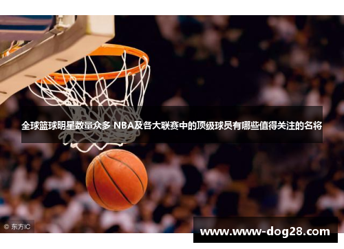 全球篮球明星数量众多 NBA及各大联赛中的顶级球员有哪些值得关注的名将